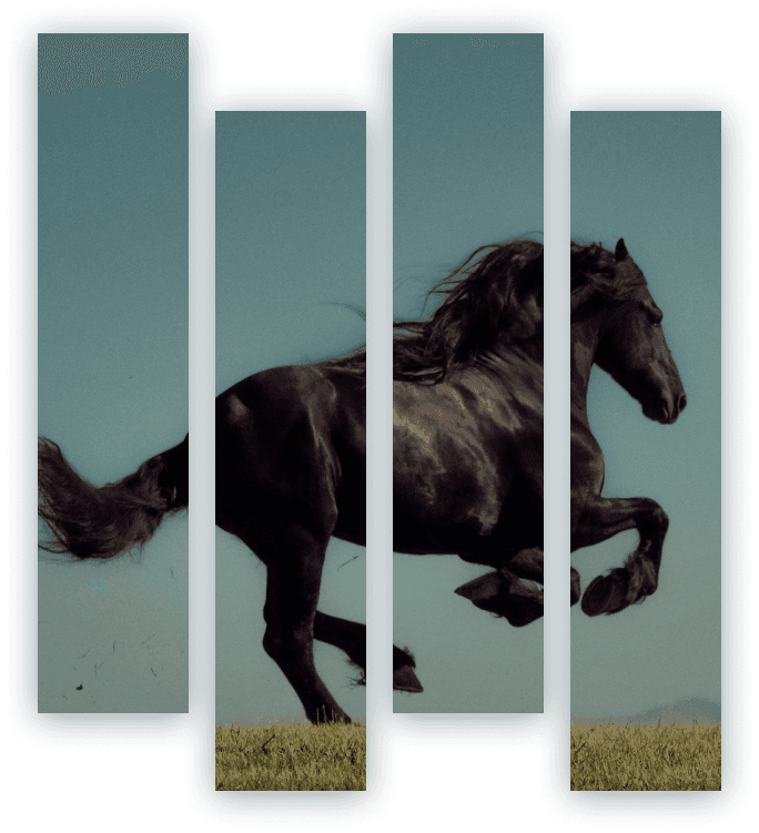 Sign In Illustration